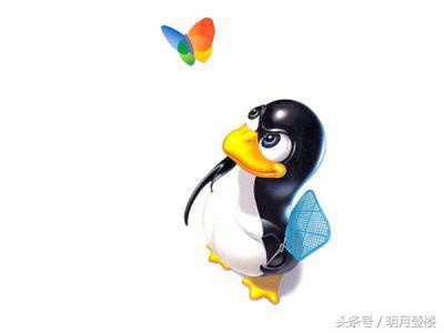 深度deepinlinux体验感受总结,深度linux体验