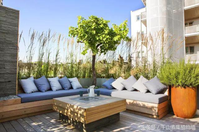 她用三年时间打造了一片露台花海,露台打造花海