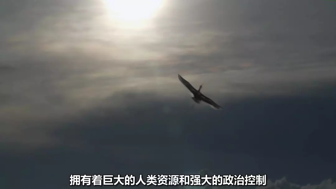 十部震撼神级片,9部堪称神作的纪录片火山