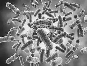 当心“冰箱杀手”！苏州孕妇馋嘴冰镇小龙虾，遭感染紧急剖宫产