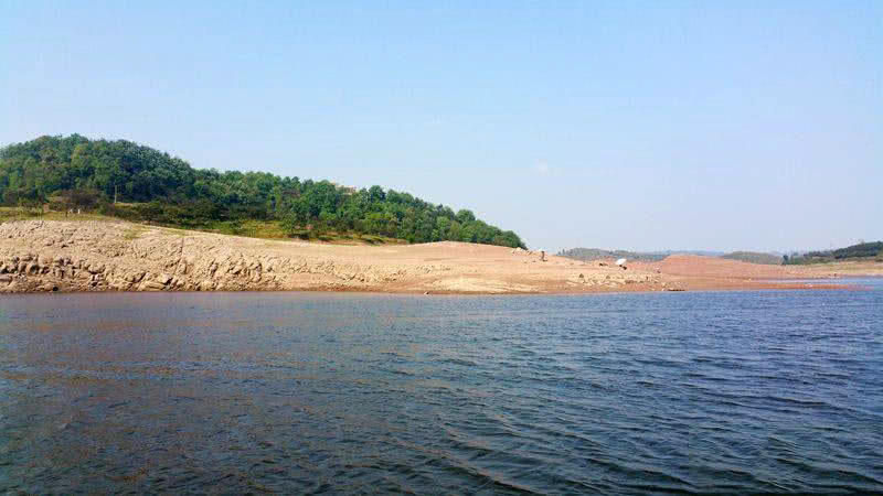 槌￠奔鍜岃崏楸煎摢涓姏姘斿ぇ,鑽夐奔璺熼场楸煎摢涓姏姘斿ぇ