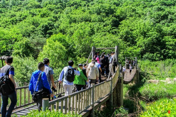 涓囧瓧鏀荤暐,涓囧瓧瑙ｆ瀽鏀荤暐
