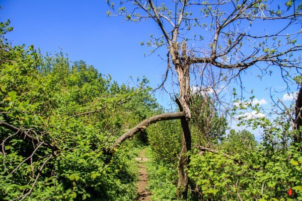 抚顺深度游攻略游记,抚顺旅游攻略自由行