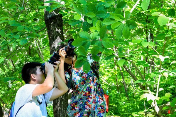 抚顺深度游攻略游记,抚顺旅游攻略自由行