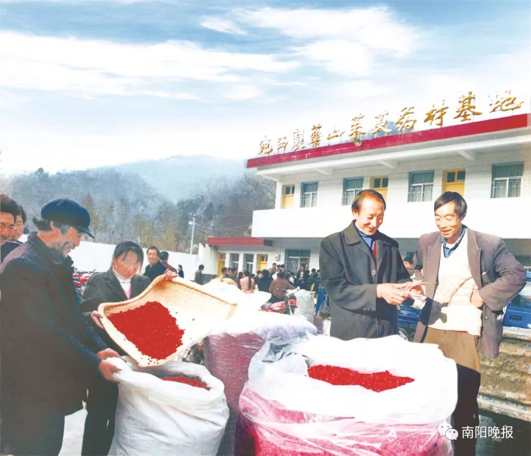 点赞！初心不改，未来可期，记在改革开放中诞生成长的仲景宛西制药