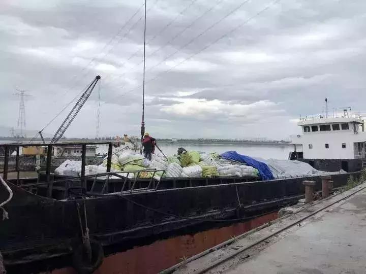 恶心！数百吨韩国人扔掉的旧衣服在浙江被截！你淘来的名牌货，可能暗藏各种细菌