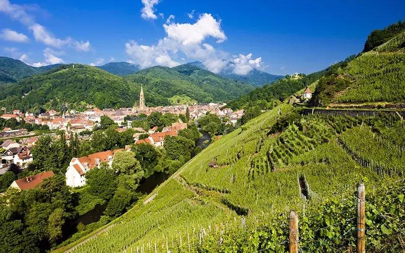 法国葡萄酒等级grandcru,法国葡萄酒grandcru