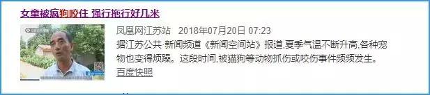 被狗咬住不放要学会这样自救救人,被狗咬住不松了怎么办