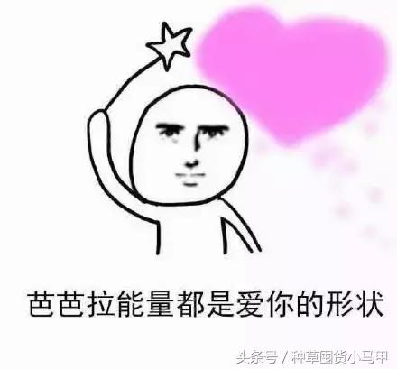 比nars还贵的粉饼,比nars还便宜的化妆品牌