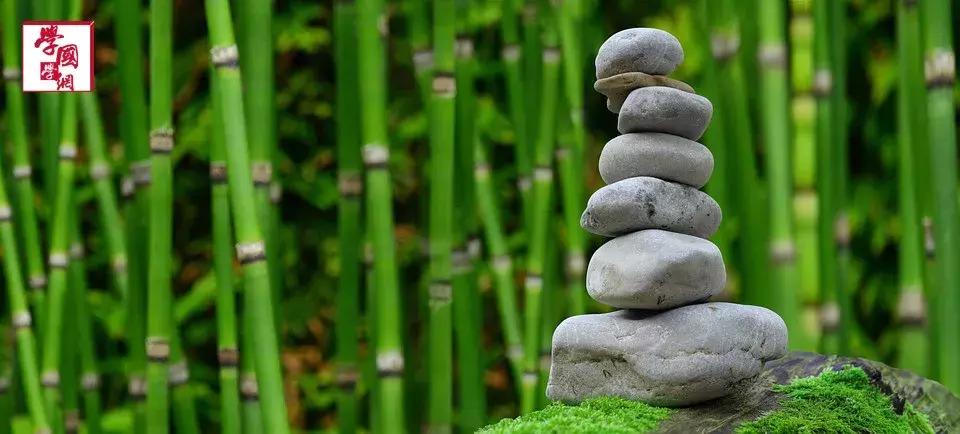 与竹子有关的唯美诗句,一百句最美竹子诗句