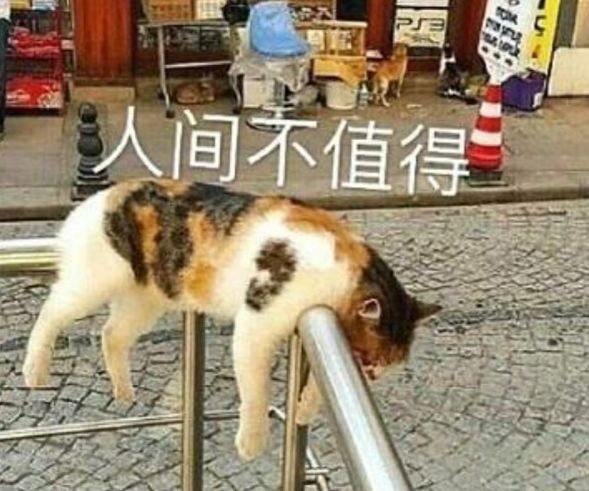 李诞说成都吃喝玩乐,李诞的受众