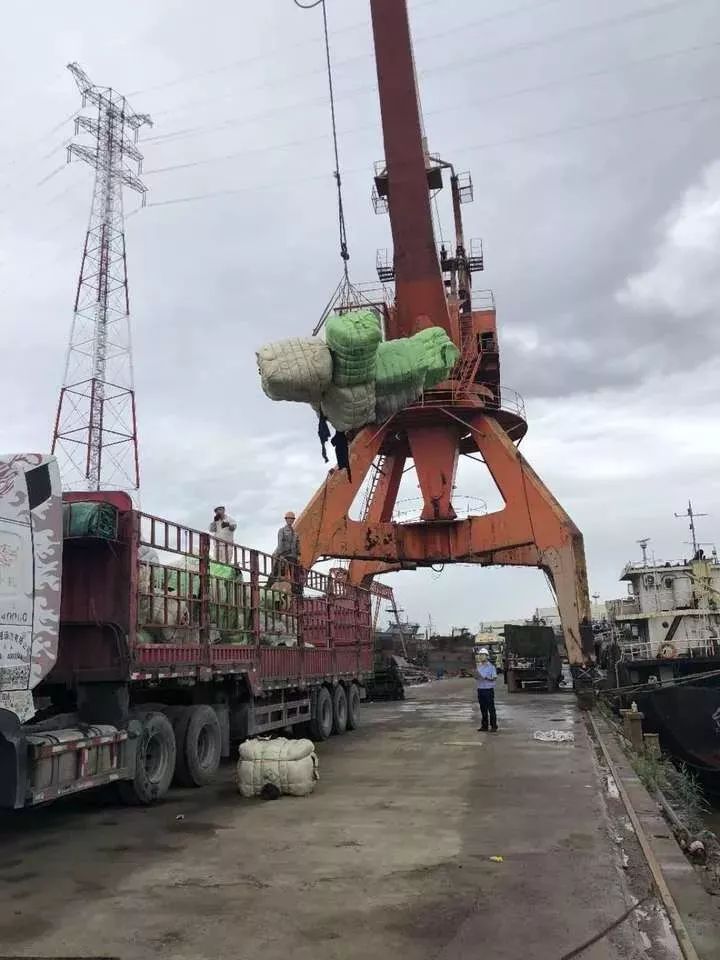 恶心！数百吨韩国人扔掉的旧衣服在浙江被截！这些可能就是你淘来的名牌货