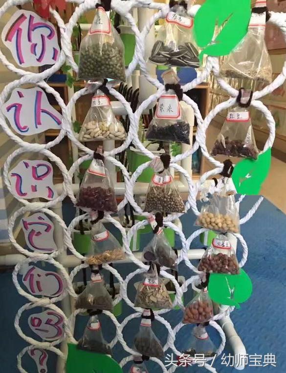 幼儿园科学区角设计,幼儿园区角科学区视频