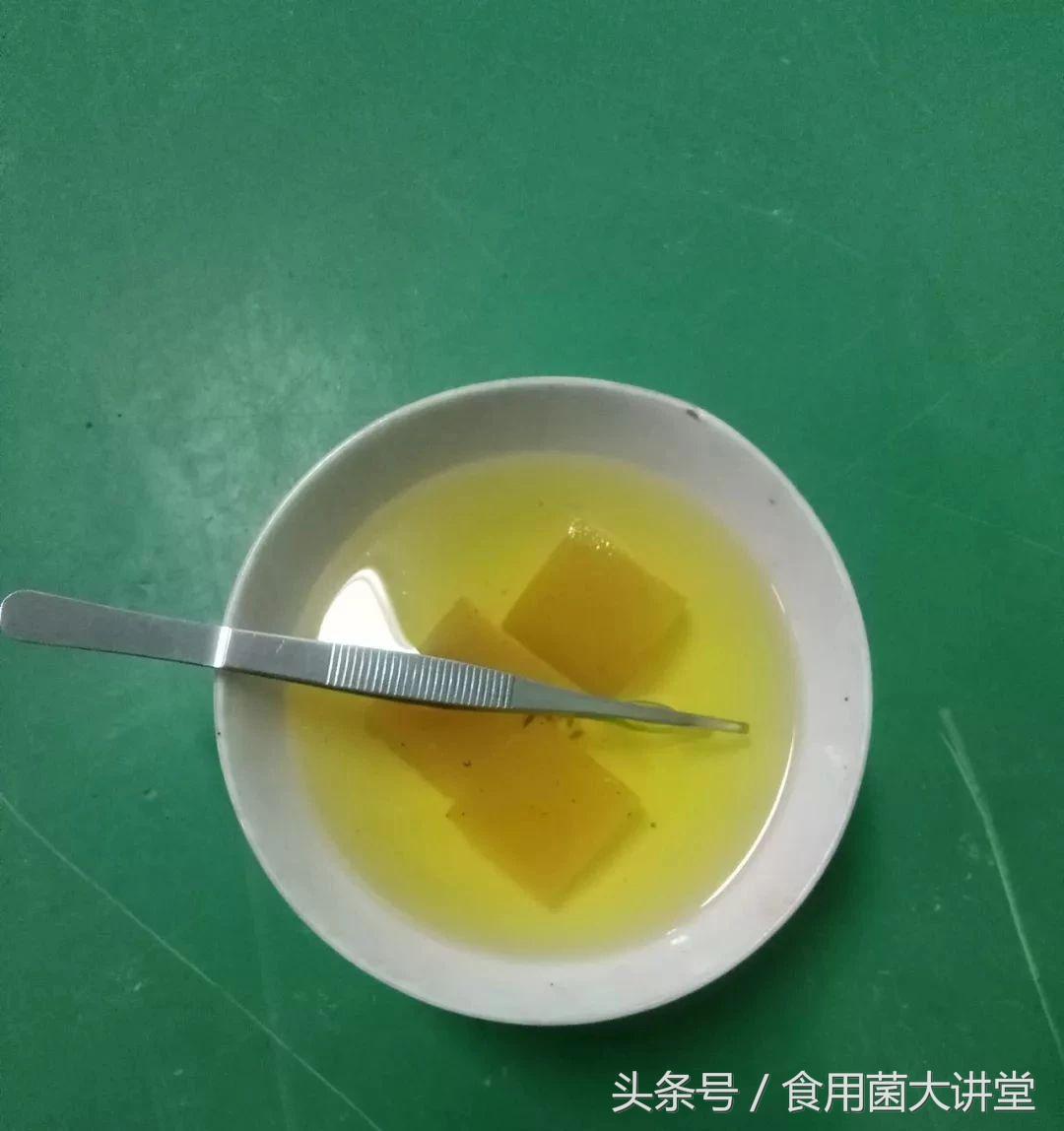 食用菌工厂化生产污染最祸首链孢霉，看是如何预防和治疗，你咋看
