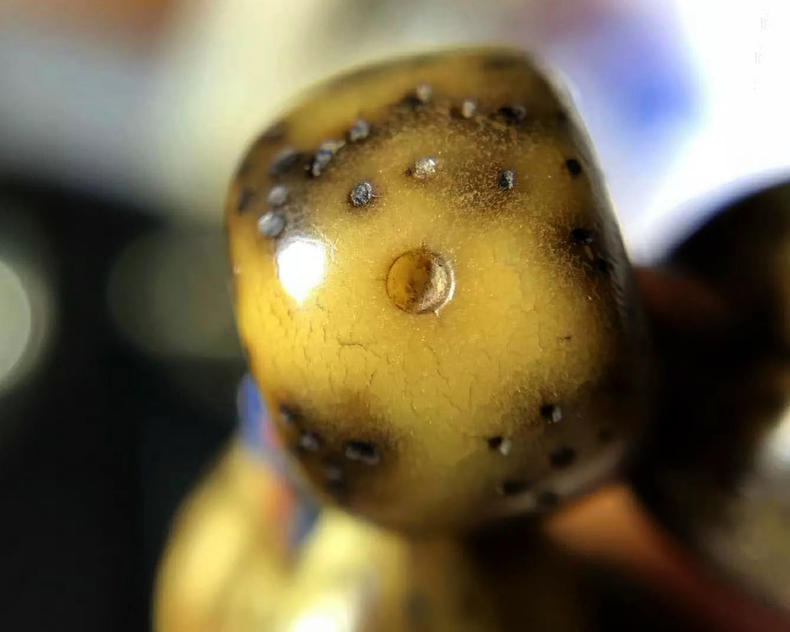 星月菩提的盘玩方法速成,新入手的星月菩提正确的盘玩步骤