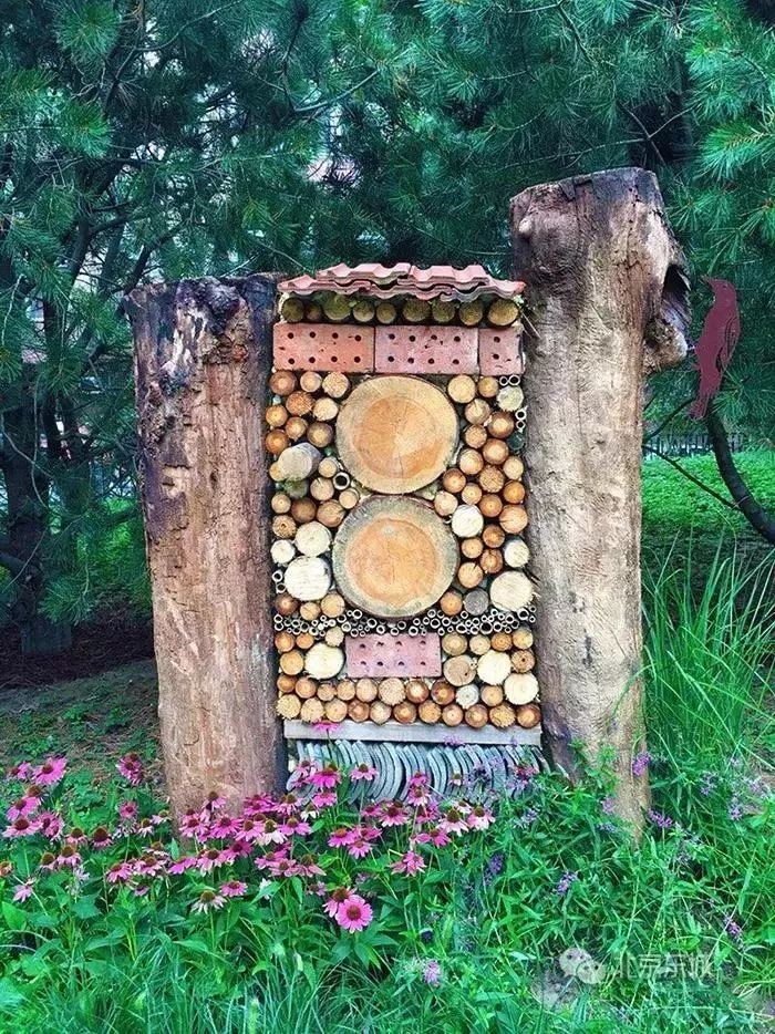 工体与原来的区别,工体为什么要改造