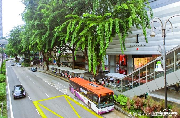 说走就走｜玩遍这些才算来过新加坡！