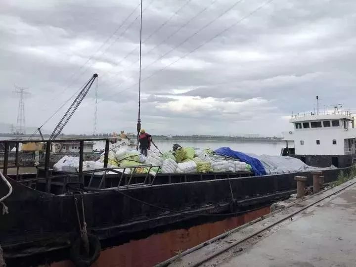 恶心！你淘来的名牌货，可能暗藏各种细菌