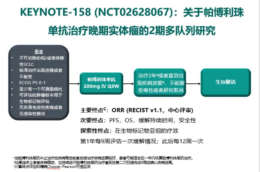 pd-l1对小细胞肺癌疗效,pdl1阳性肺癌治疗