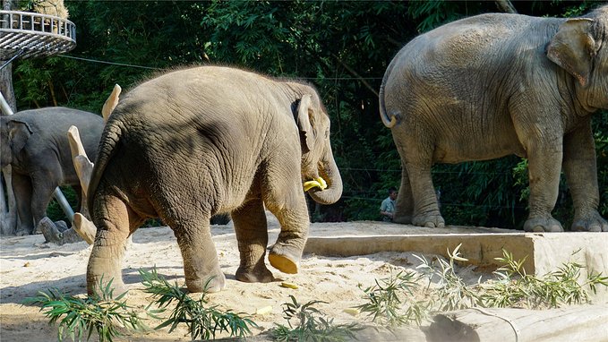 带小孩去长隆欢乐世界畅玩一天,暑假带娃去广州长隆野生动物世界