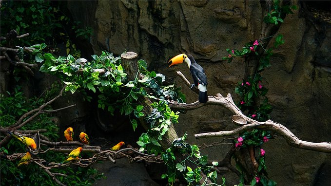 带小孩去长隆欢乐世界畅玩一天,暑假带娃去广州长隆野生动物世界