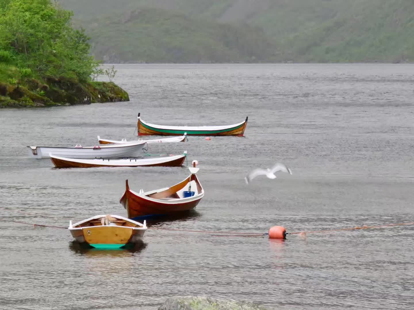 相片背后的光｜我与儿子的约定—《下篇》