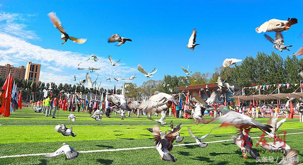 中田赛开幕式侧记：这一刻，青春最美