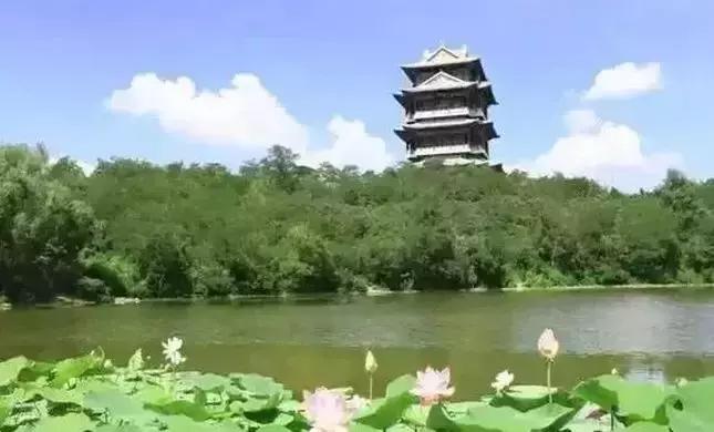 去沈阳哪里看荷花好玩一点,沈阳荷花旅游文化节时间