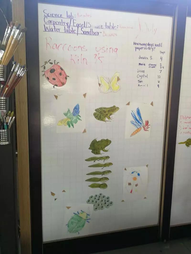 中国园长在美国｜亲身感受中美幼儿园的不同特色！