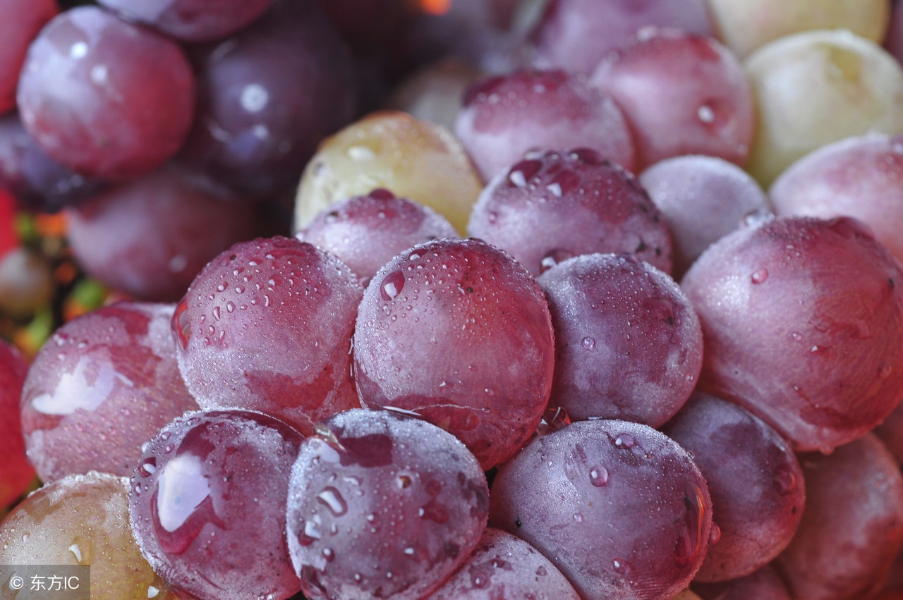 偏头痛呕吐偏方,终身受用的偏方70条药到病除