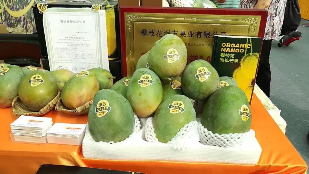 凯特芒果攀枝花为什么云南发货,攀枝花的凯特芒果什么时候上市