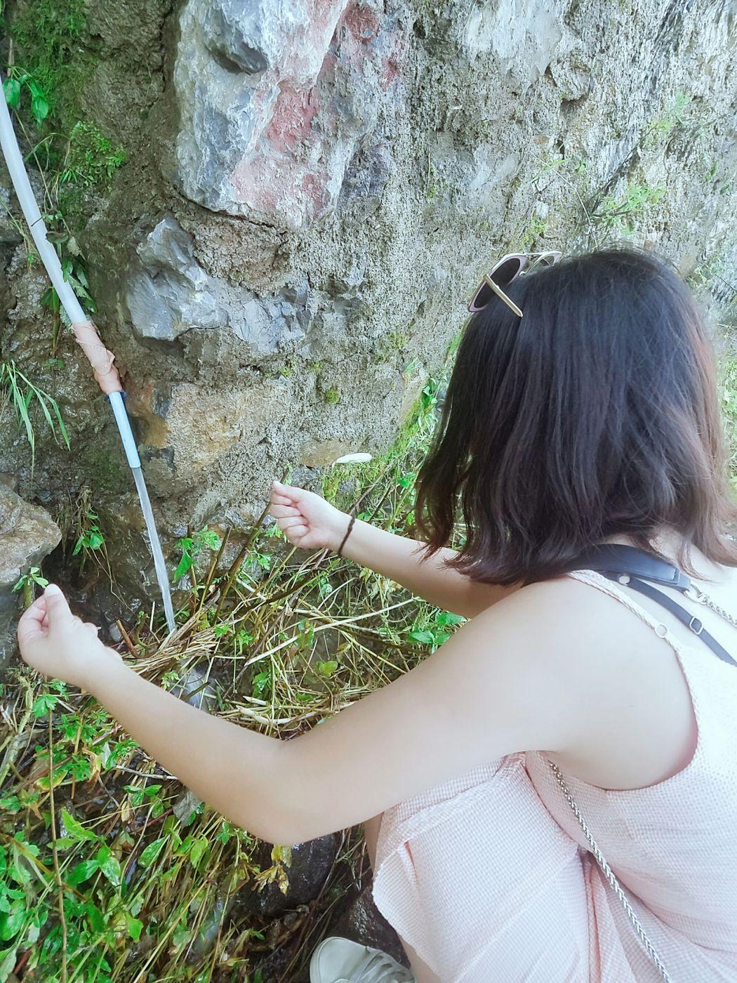 曾家山避暑15天吃住,避暑胜地曾家山