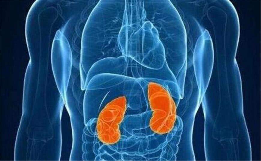 牙齿蛀牙疼痛快速解决方法,补的牙齿疼痛快速解决办法