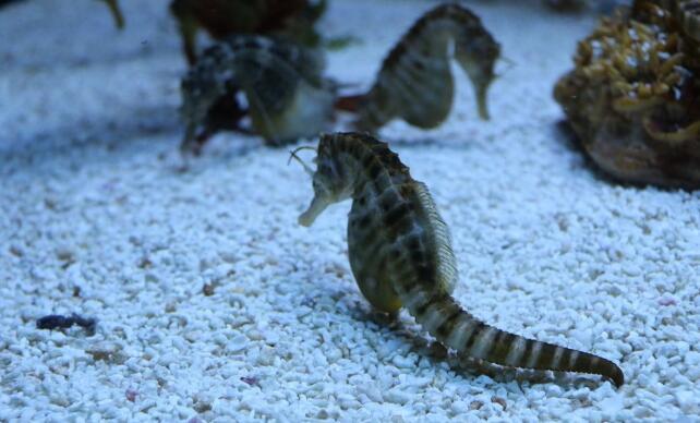 那些年被大家玩坏的车标,这几年被玩坏的车标