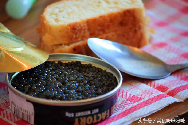 看看顶级鱼子酱是怎么生产出来的,鱼子酱的生产过程到底有多残忍