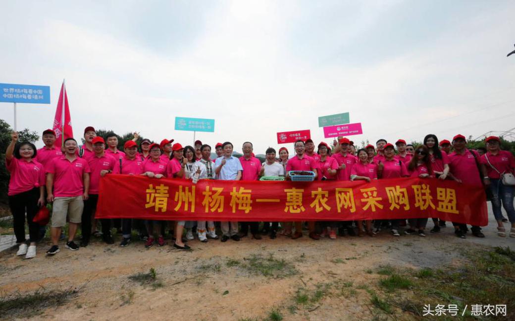 农业互联网的六种模式,农业互联网的十大模式