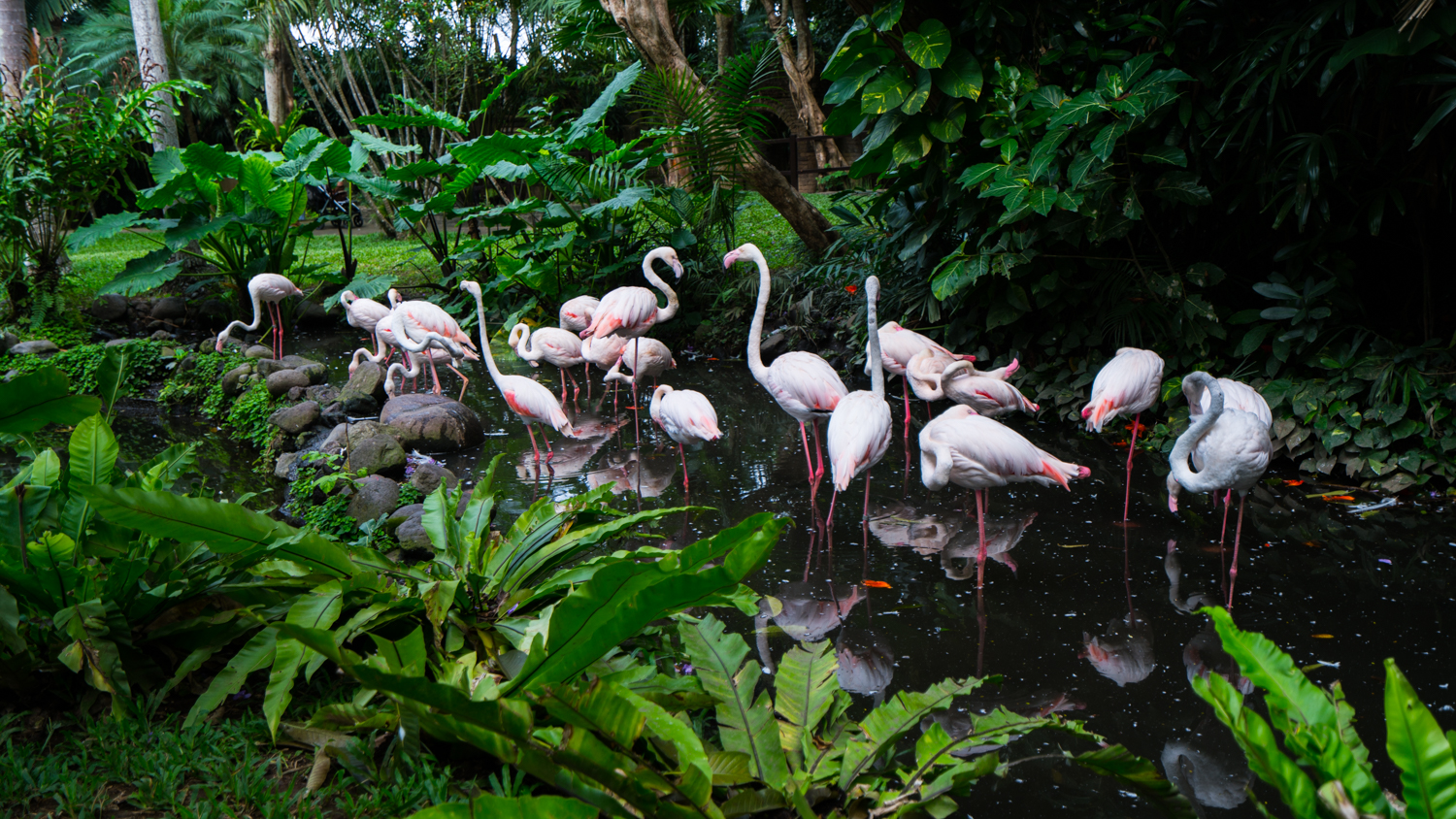 去巴厘岛跟团好不好,巴厘岛跟团游最佳攻略