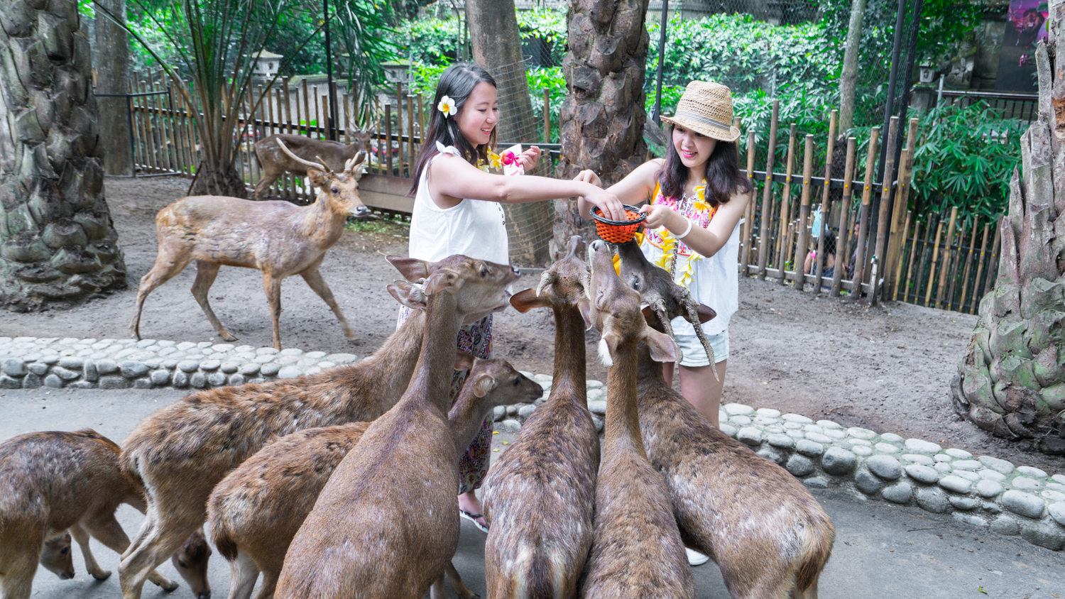 巴厘岛吃喝攻略,巴厘岛闺蜜