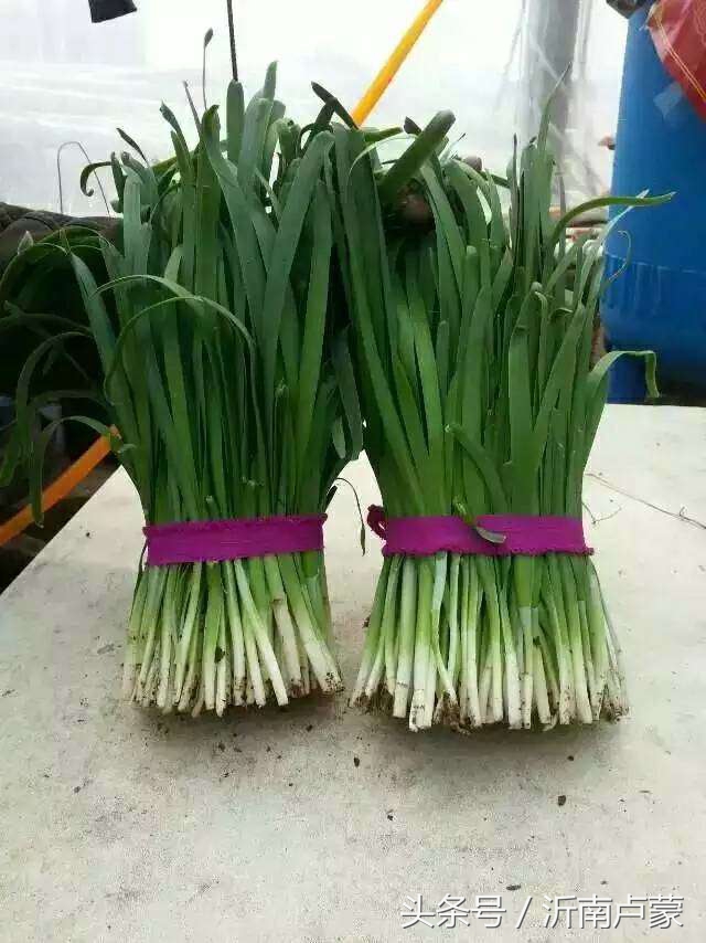 陈锋名师工作室,陈锋老师视频