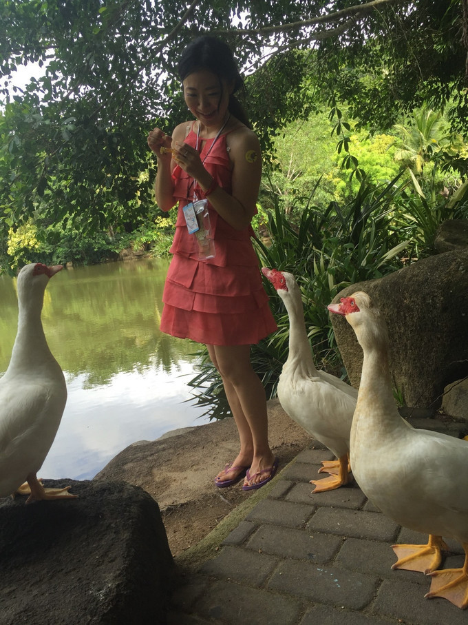 海口到三亚旅行攻略,三亚凤凰岛旅行攻略