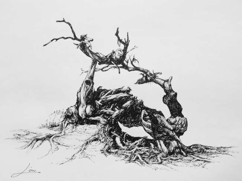 幸福画吧画友作品展示,幸福原创画吧画友最新作品分享