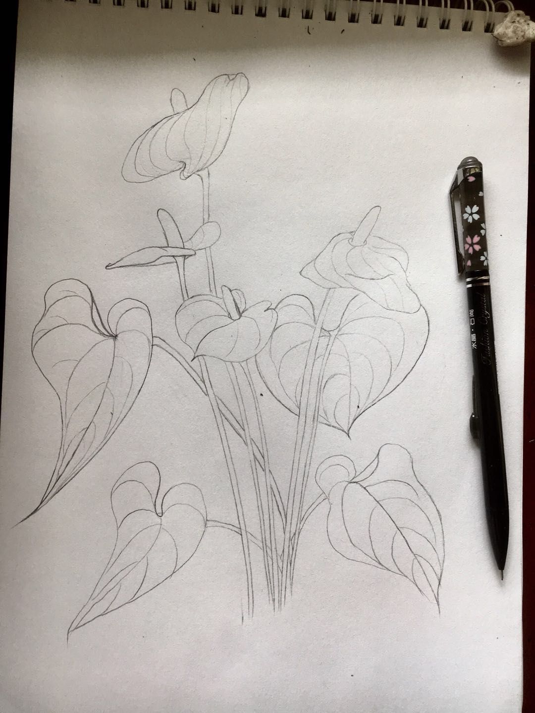 幸福画吧画友作品展示,幸福原创画吧画友最新作品分享