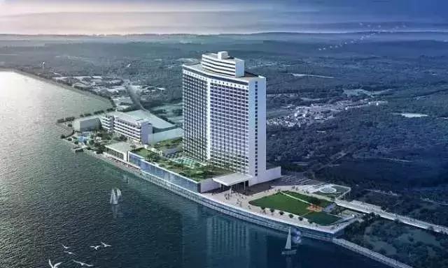 广州晚上可以吃的早茶推荐最正宗,广州早茶100种做法