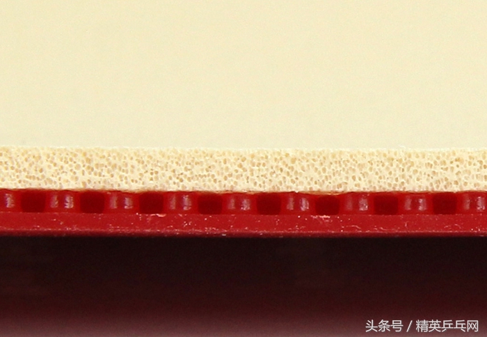 还在为W968反手配胶而苦恼？来试试蝴蝶T05、64的最佳替代品吧