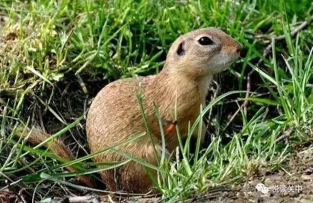 小时候的那些事视频,小时候的那些经历