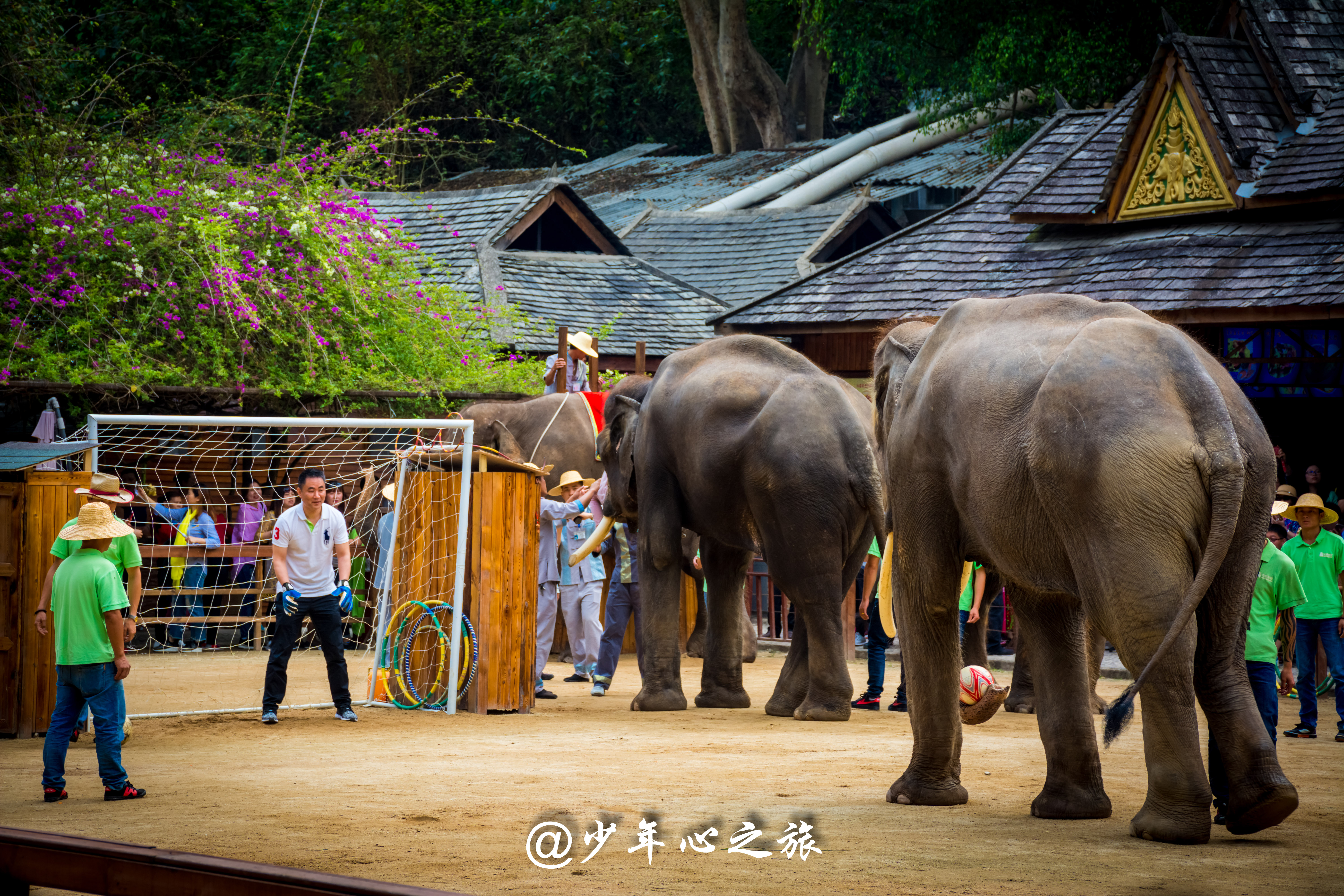 西双版纳必打卡三大景点,西双版纳必须打卡的景点