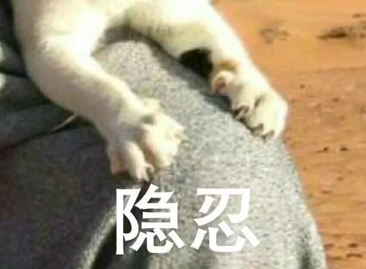 检察官愤怒片段,检察官发怒完整视频