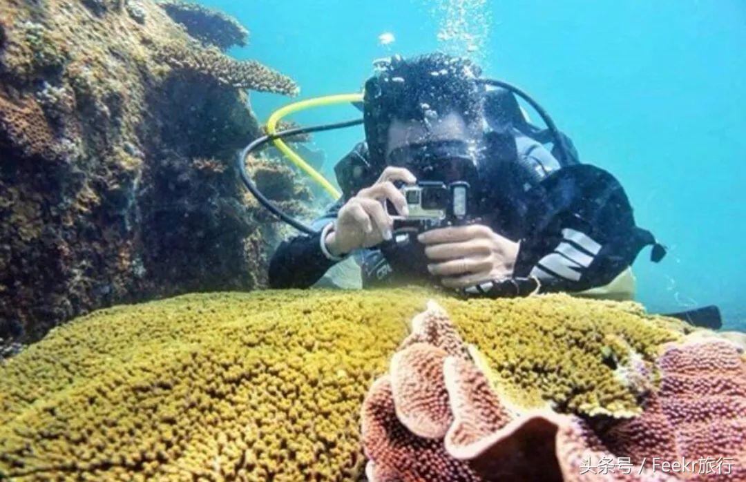 最新海岛打卡之旅,自由行可去的小众海岛