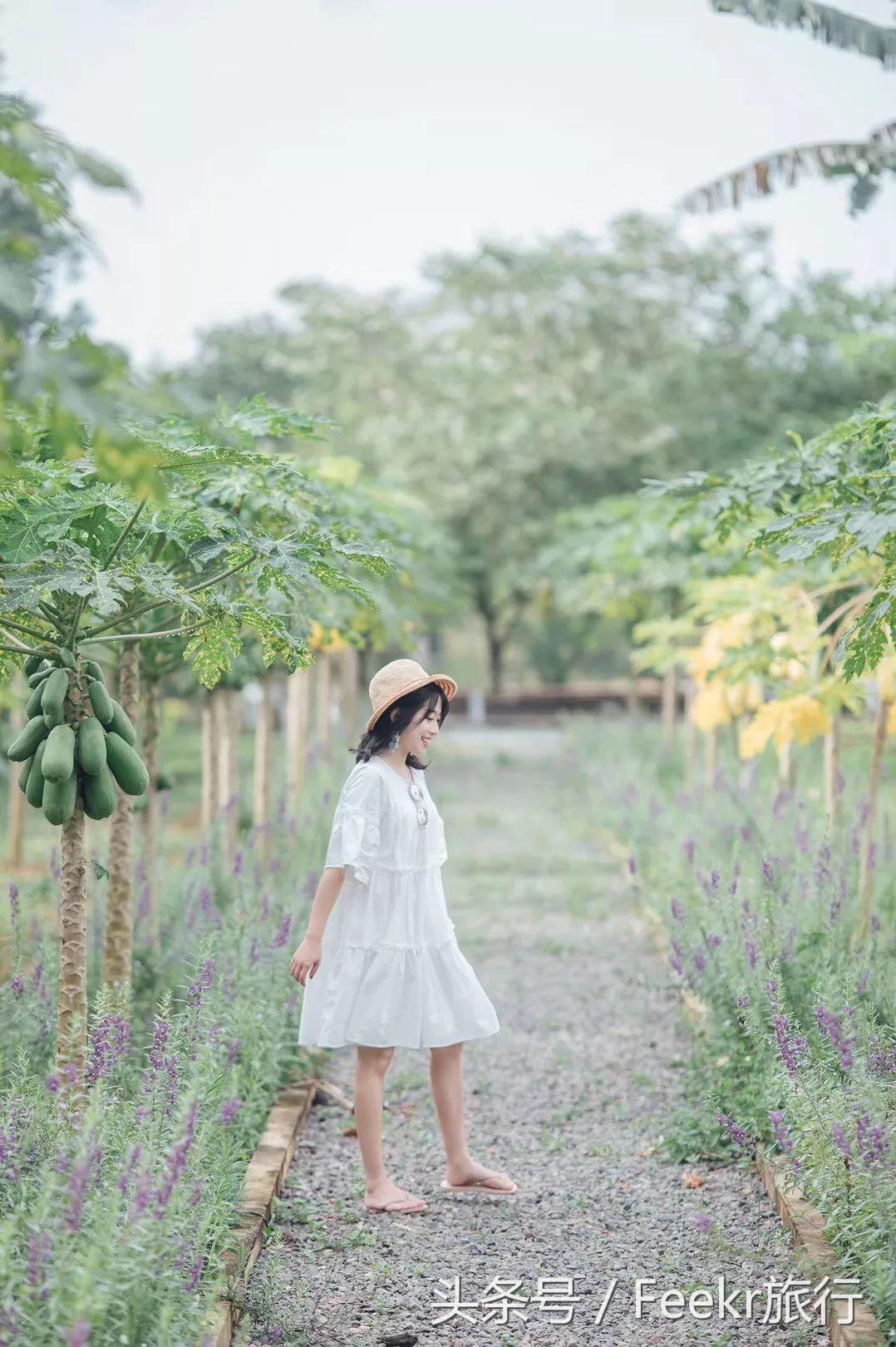 最新海岛打卡之旅,自由行可去的小众海岛