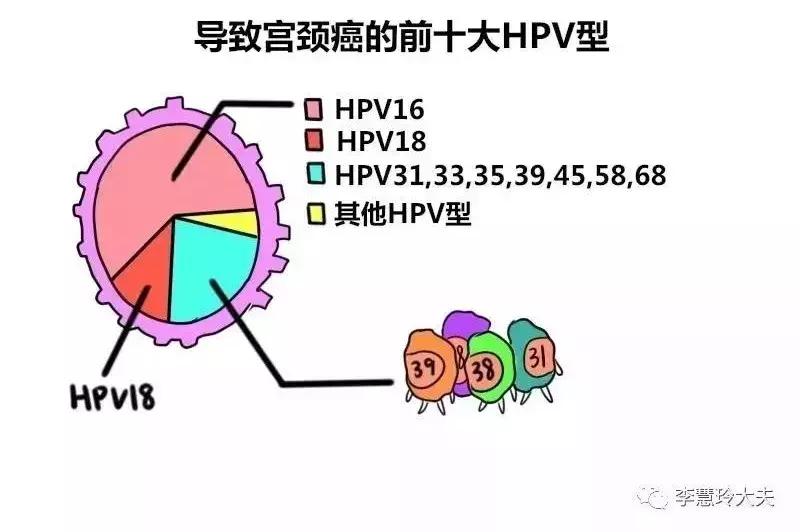 宫颈癌10大高危人群是哪些？带你了解宫颈癌筛查的方方面面！